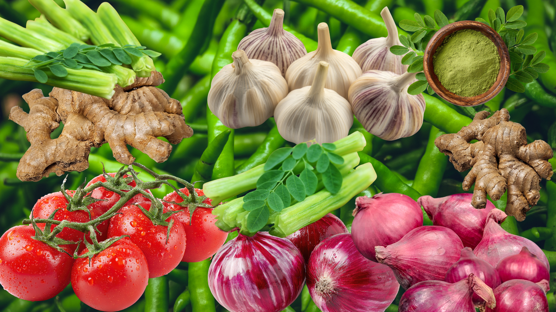 Import Fresh Vegetables from India – Trusted Exporter for Global Markets