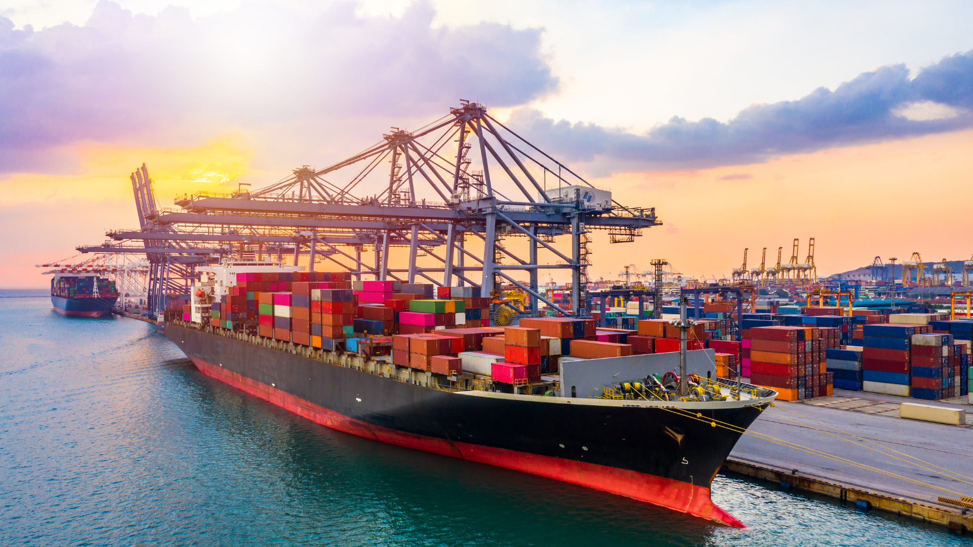 How to Choose the Best Export Company in India for Fresh Products